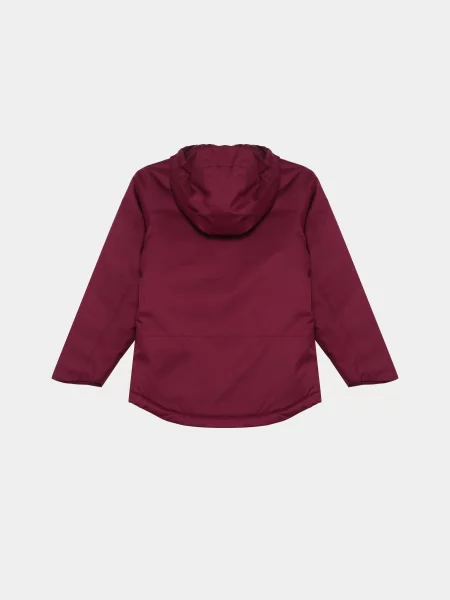 Детская демисезонная куртка The North Face фиолетовая
