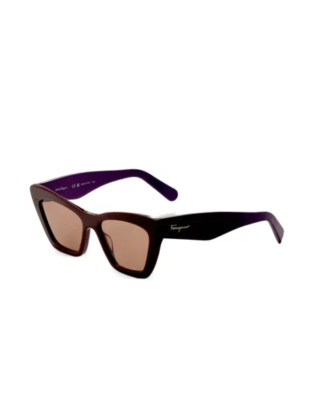 Ochelari de soare Ferragamo Eyewear maro
