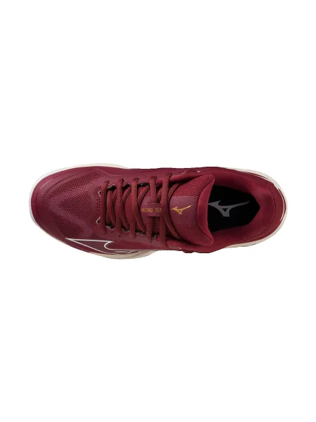 Pantofi Mizuno maro