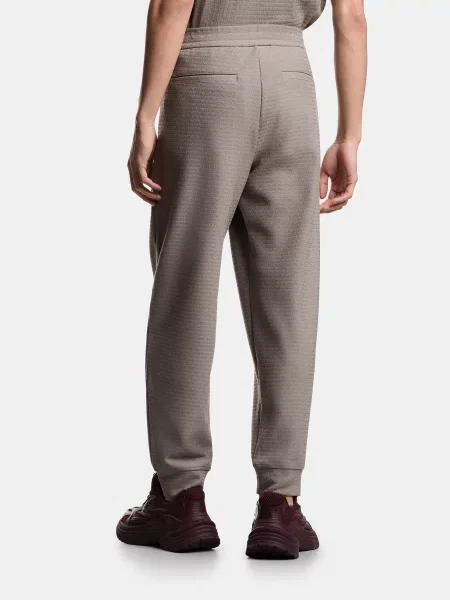 Джоггеры Emporio Armani серые