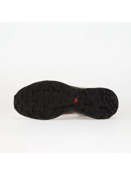 Кросівки Salomon Advanced