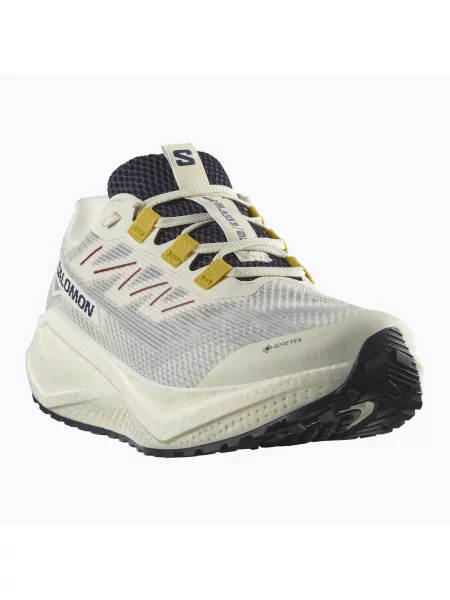 Кросівки для бігу Salomon Aero Blaze 3 Gravel GTX vanilla ice/astral aura/lemon