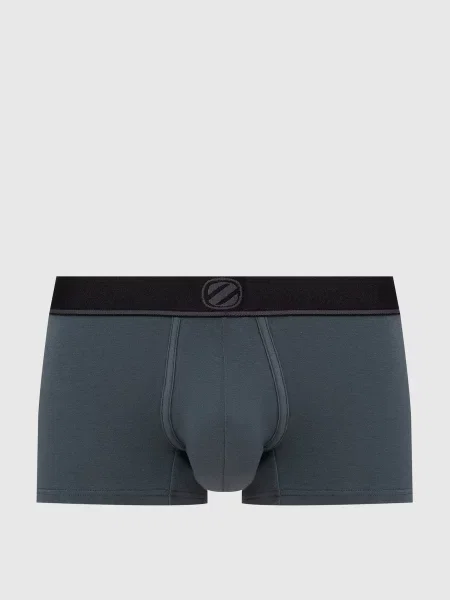 Труси-транки Ermenegildo Zegna сірі