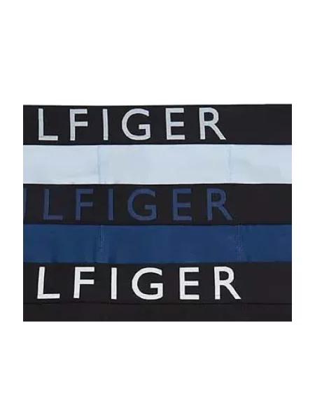 Gaćice Tommy Hilfiger