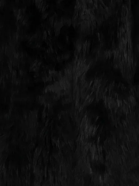 Palton de blană Blumarine negru