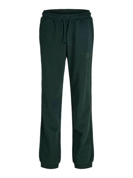 Jack & Jones Junior Pantaloni JJIGORDON pin verde