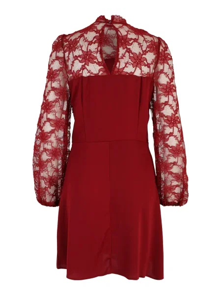 Dorothy Perkins Koktélruhák földi szeder