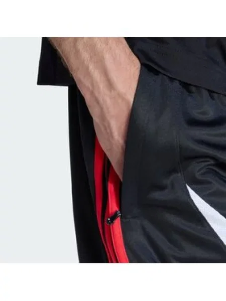 Adidas Sportiniai šortai adicolor Teamgeist juoda