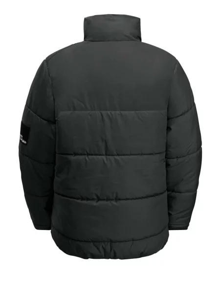 Jack Wolfskin Дитяча куртка TEEN INS