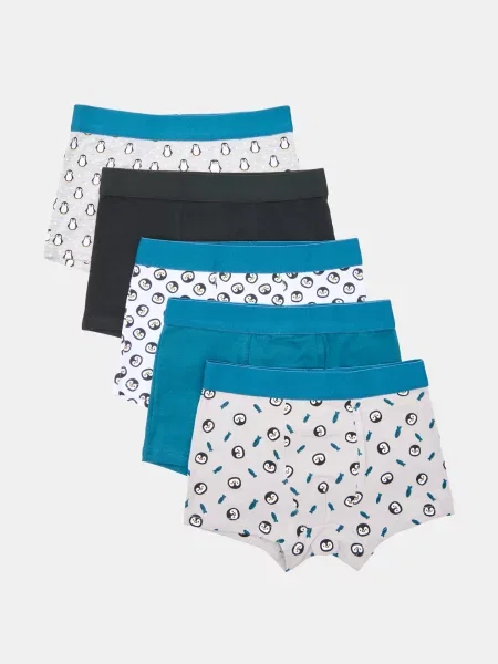 Sinsay boxerky s motivem tučňáků 5 pack vícebarevná