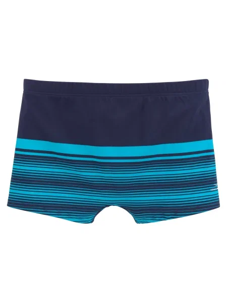 VENICE BEACH Kratke kopalne hlače mornarska / turkizna