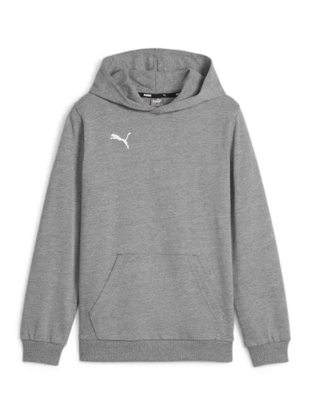 Bluza dla dzieci Puma Team Goal Casuals Hoddy szara