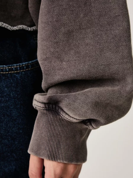Свитер Dickies с капюшоном