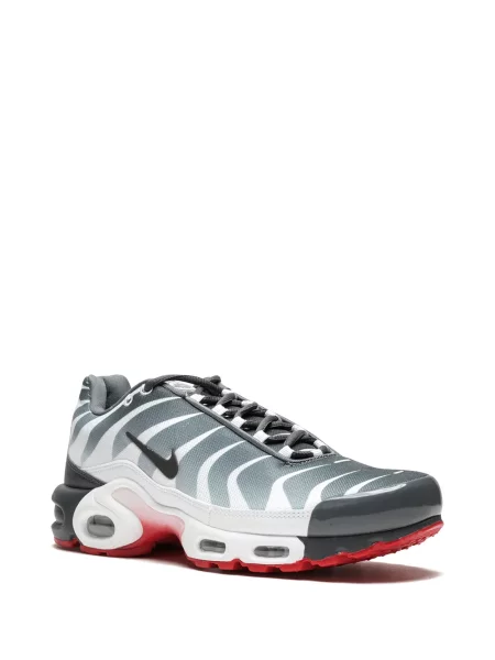 Sportbačiai Nike Air Max Plus pilka