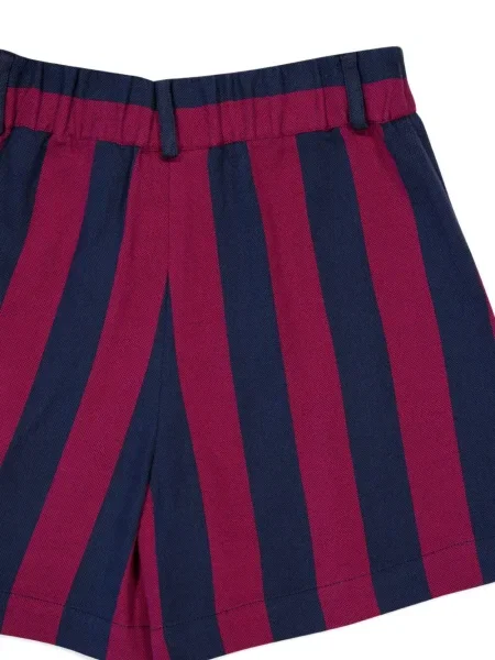 Pantaloni scurți Paula cu dungi plisate violet