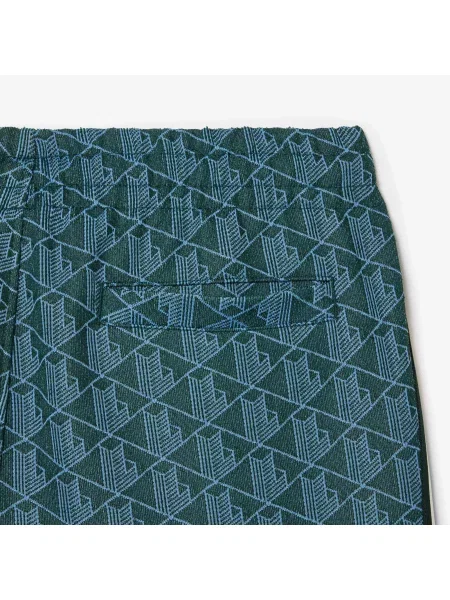 Спортивные штаны Lacoste зеленые