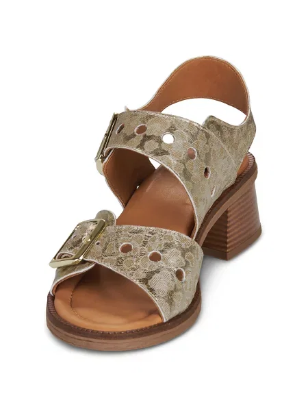 Pantofi Casta
