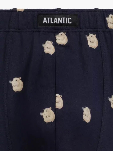 Боксеры Atlantic