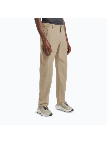 Pantaloni de trekking pentru bărbați Jack Wolfskin Pico Trail hazel wood