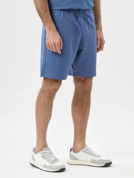Шорты Ea7 Emporio Armani голубые