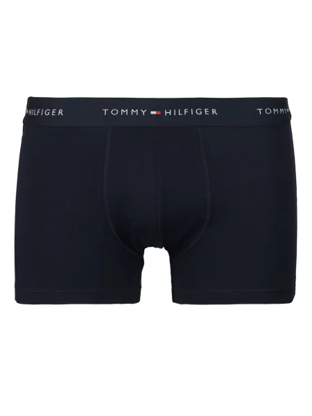 Chiloți Tommy Hilfiger albastru