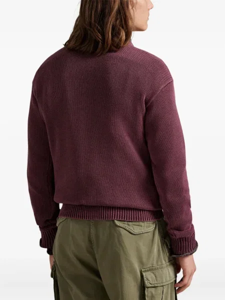Ριγέ polo Polo Ralph Lauren με κουκούλα με αυτόγραφο λευκό