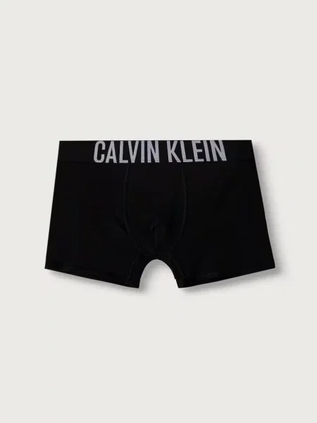 Calvin Klein Underwear testhezálló boxeralsó gyerek elasztánnal csomag szürke