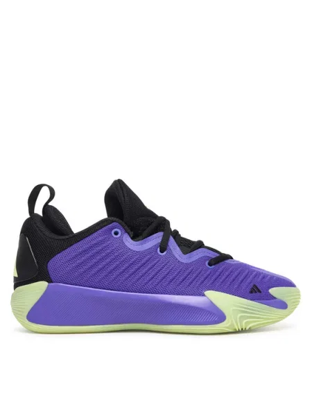 Adidas Încălțăminte pentru baschet Initiation J Shoes albastru