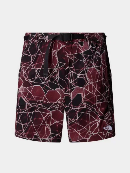 Спортивные шорты The North Face