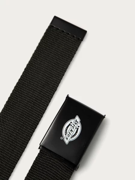 Dickies Curea bărbați verde