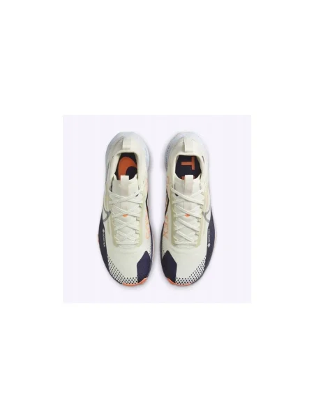 Tenisky Nike Pegasus