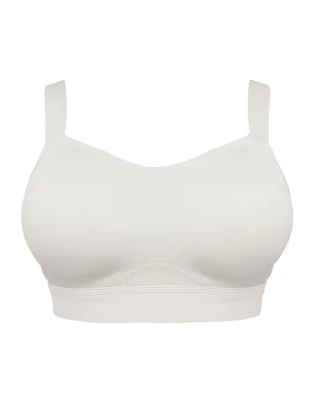 SugarShape Sutien Jive' alb