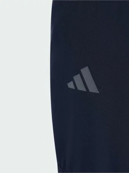 Лыжные штаны Adidas синие
