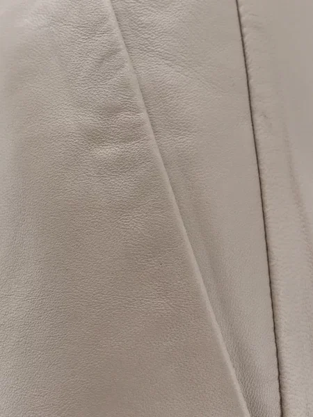Pantaloni Alysi din piele gri