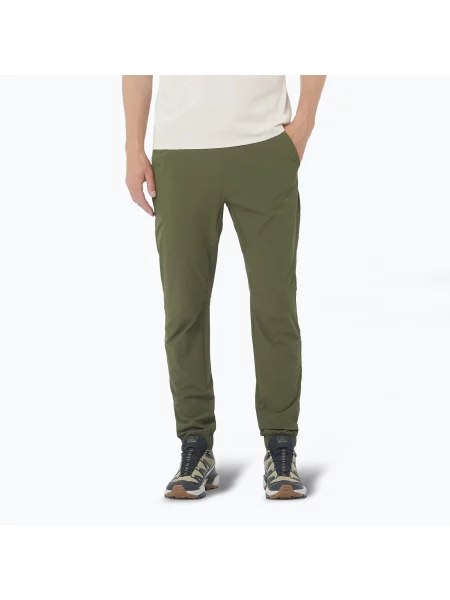 Spodnie trekkingowe Salomon Wayfarer Ease grape leaf zielone