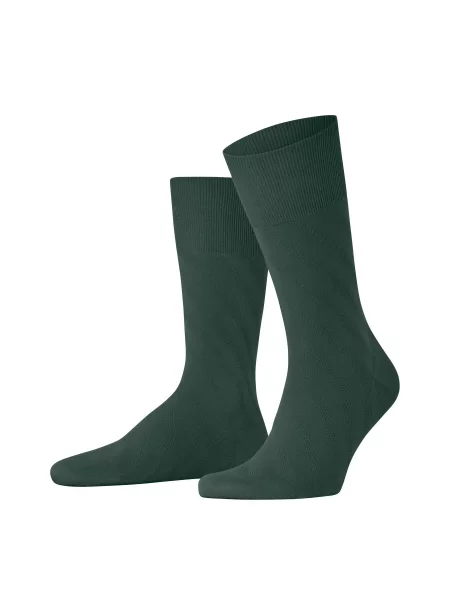 Skarpety Falke ClimaWool Special Edition zielone