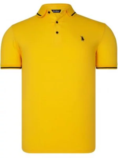 Polo Dewberry galben