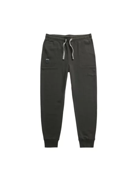 Spodnie dresowe Blauer szare