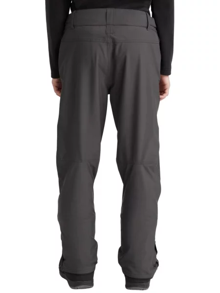 Spodnie narciarskie O'NEILL Hammer Pants szare