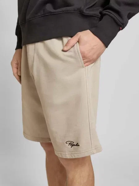 Szorty z dzianiny dresowej o kroju regular fit z wyhaftowanym logo model ‘TERRY’ Pegador