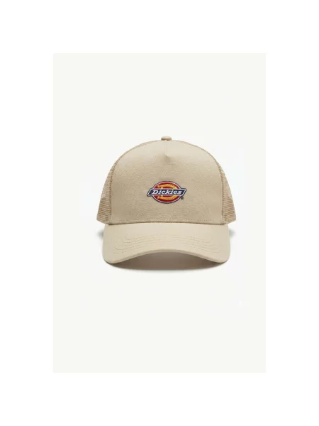 Šilterica Dickies bež