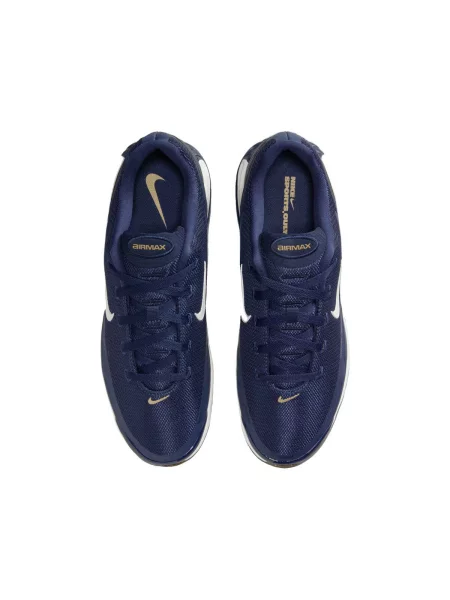 Pantofi Nike