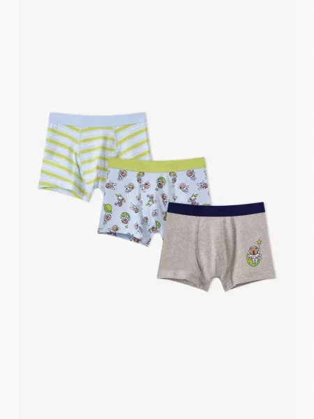 Penti Gaće PENTI Jungen Boxershorts Capybaras Space miks
