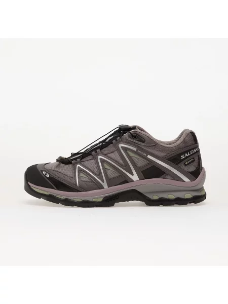 Черевики Salomon XT-Quest GTX сірий