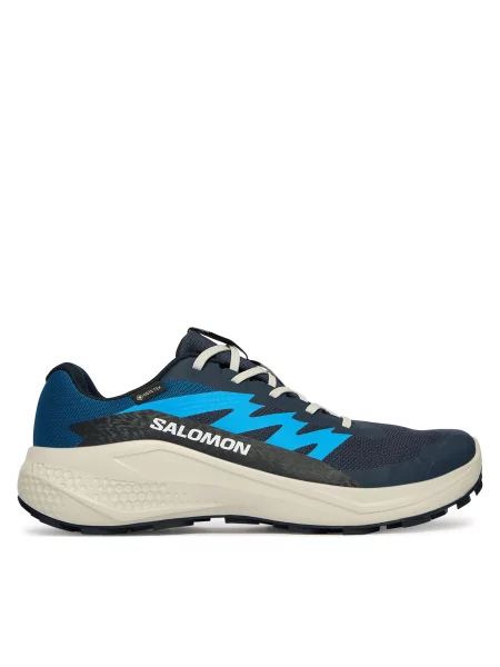 Bežecké topánky Salomon Alphaglide Gtx modrá