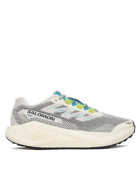 Pantofi pentru alergare Salomon Aero Blaze 3 Grvl gri