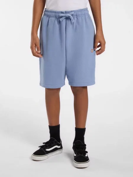 Дитячі Шорти Dickies блакитний