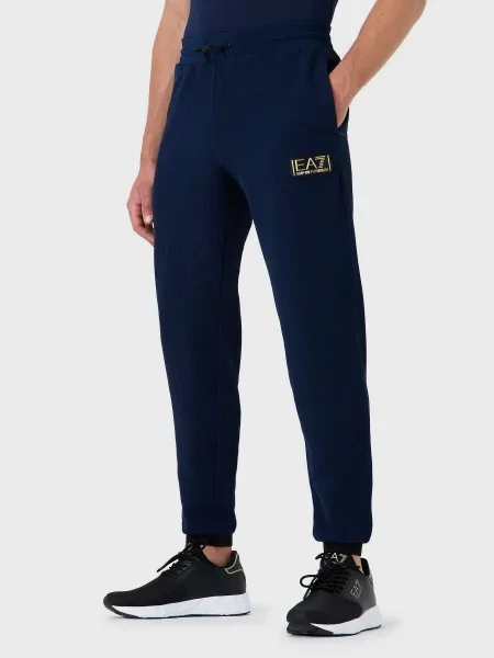 Спортивные штаны Ea7 синие