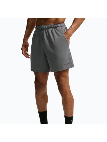Мъжки тренировъчни шорти Nike Flex smoke grey/black черно