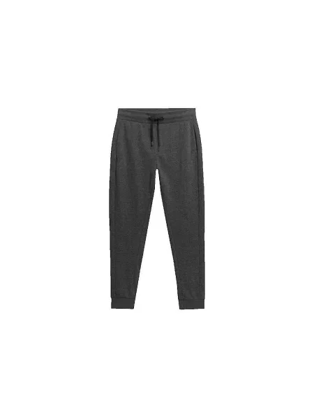 Pantaloni 4f gri